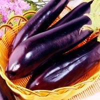 The best eggplant varieties for central Our Country