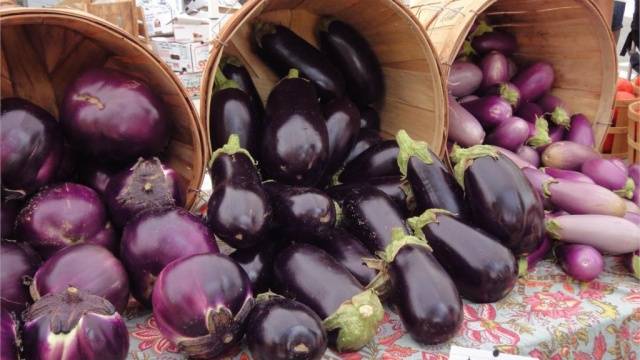 The best eggplant varieties for greenhouses