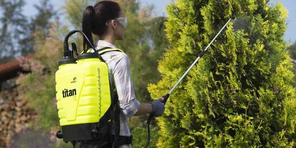 The best garden sprayer: rating 2022 (manual, battery, gasoline), options for choosing a sprayer