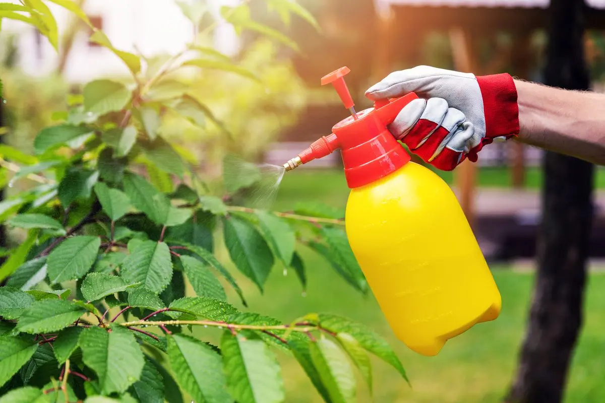 The best garden sprayer: rating 2022 (manual, battery, gasoline), options for choosing a sprayer