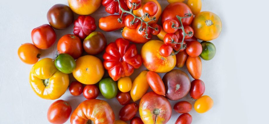 The best medium-sized varieties of tomatoes