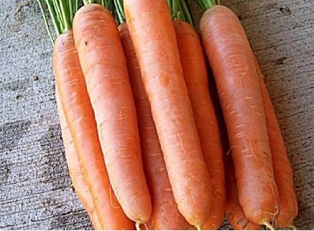 The best mid-season varieties of carrots