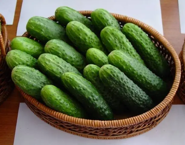 The best mid-season varieties of cucumbers