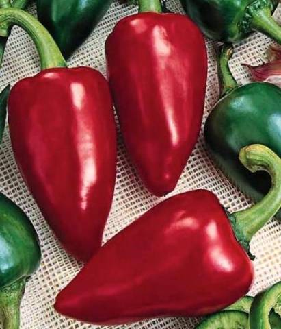 The best pepper seeds for central Our Country