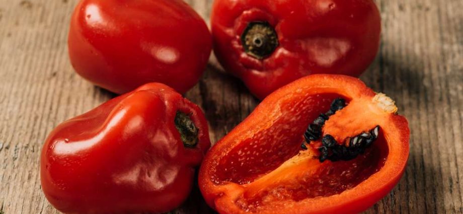 The best pepper seeds for central Our Country