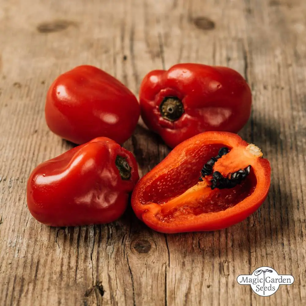 The best pepper seeds for central Our Country