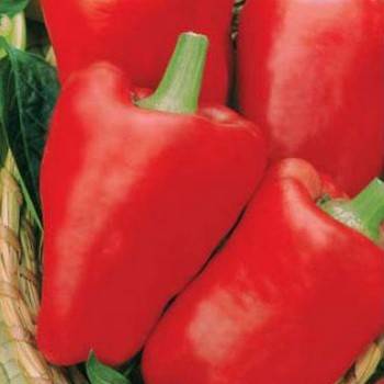 The Best Pepper Varieties for the Northwest