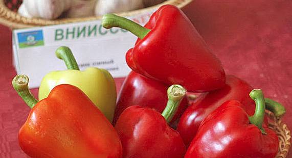 The Best Pepper Varieties for the Northwest