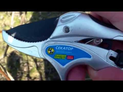 The best secateurs 2022: rating of models and types (secateurs, garden shears, delimbers), all the subtleties of choosing tools