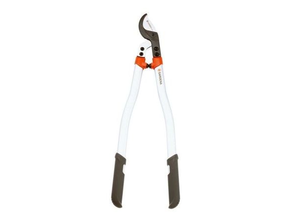 The best secateurs 2022: rating of models and types (secateurs, garden shears, delimbers), all the subtleties of choosing tools