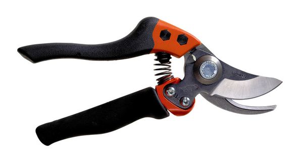 The best secateurs 2022: rating of models and types (secateurs, garden ...