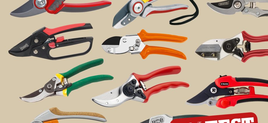 The best secateurs 2022: rating of models and types (secateurs, garden shears, delimbers), all the subtleties of choosing tools