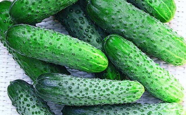 The best self-pollinated varieties of cucumbers for the greenhouse