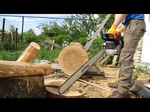 The best Stihl chainsaws - 2022 rating: overview of models and technical support + tips for choosing