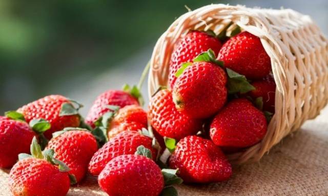 The best strawberries for the Moscow region: reviews