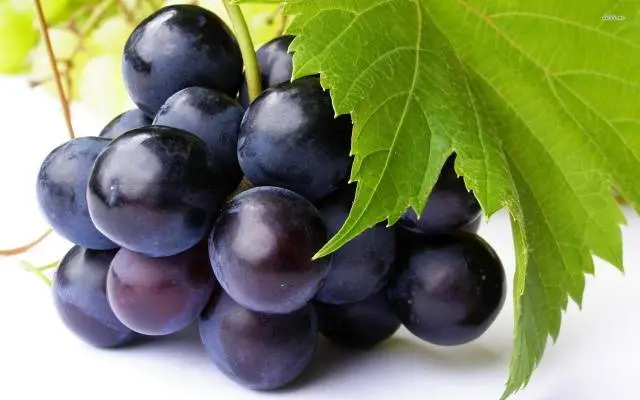 The best table grapes