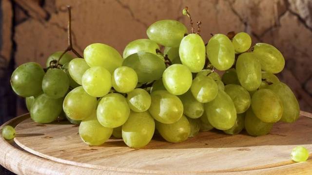 The best table grapes