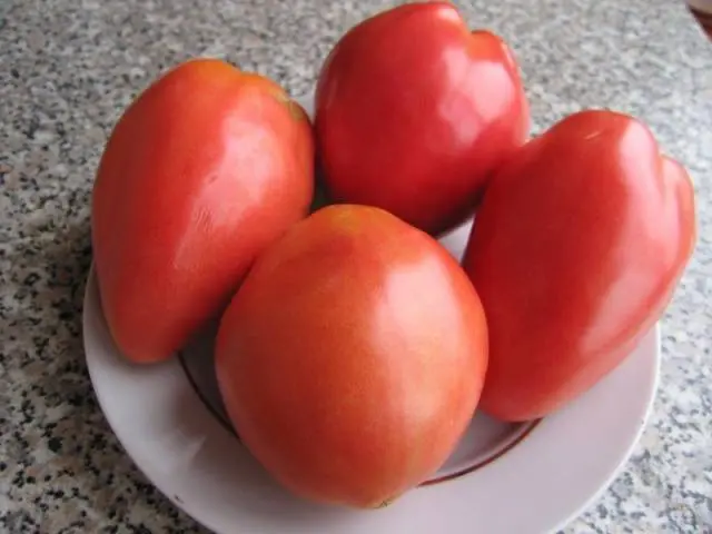 The best tomatoes of Siberian selection for open ground