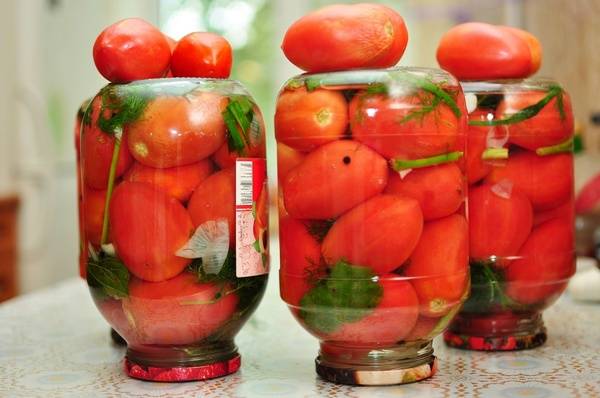 The best tomatoes of Siberian selection for open ground