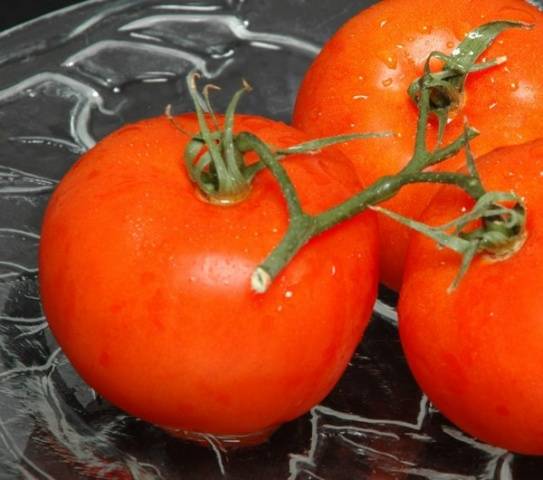 The best tomatoes of Siberian selection for open ground