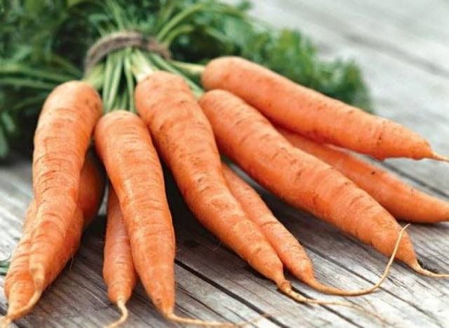 The best varieties and hybrids of carrots