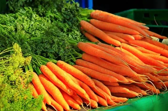 The best varieties and hybrids of carrots