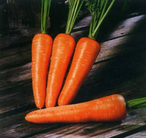 The best varieties and hybrids of carrots