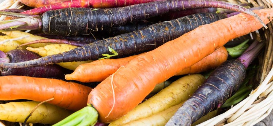 The best varieties and hybrids of carrots