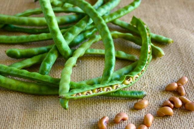 The best varieties of asparagus beans