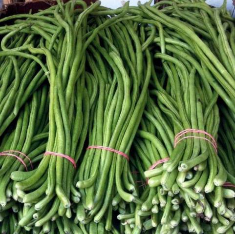 The best varieties of asparagus beans