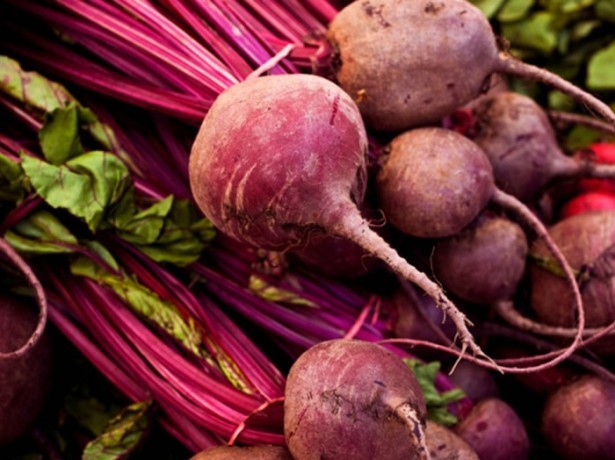 The best varieties of beets and the cardinal differences between them