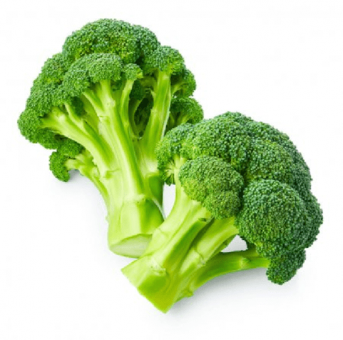 The best varieties of broccoli for the Urals