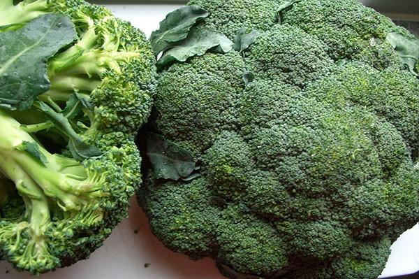 The best varieties of broccoli for the Urals