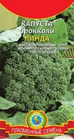 The best varieties of broccoli for the Urals