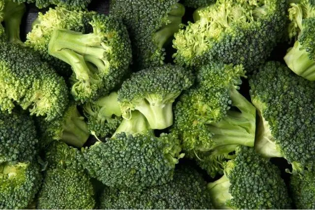 The best varieties of broccoli: photo with name, reviews