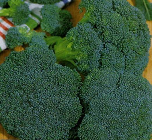 The best varieties of broccoli: photo with name, reviews