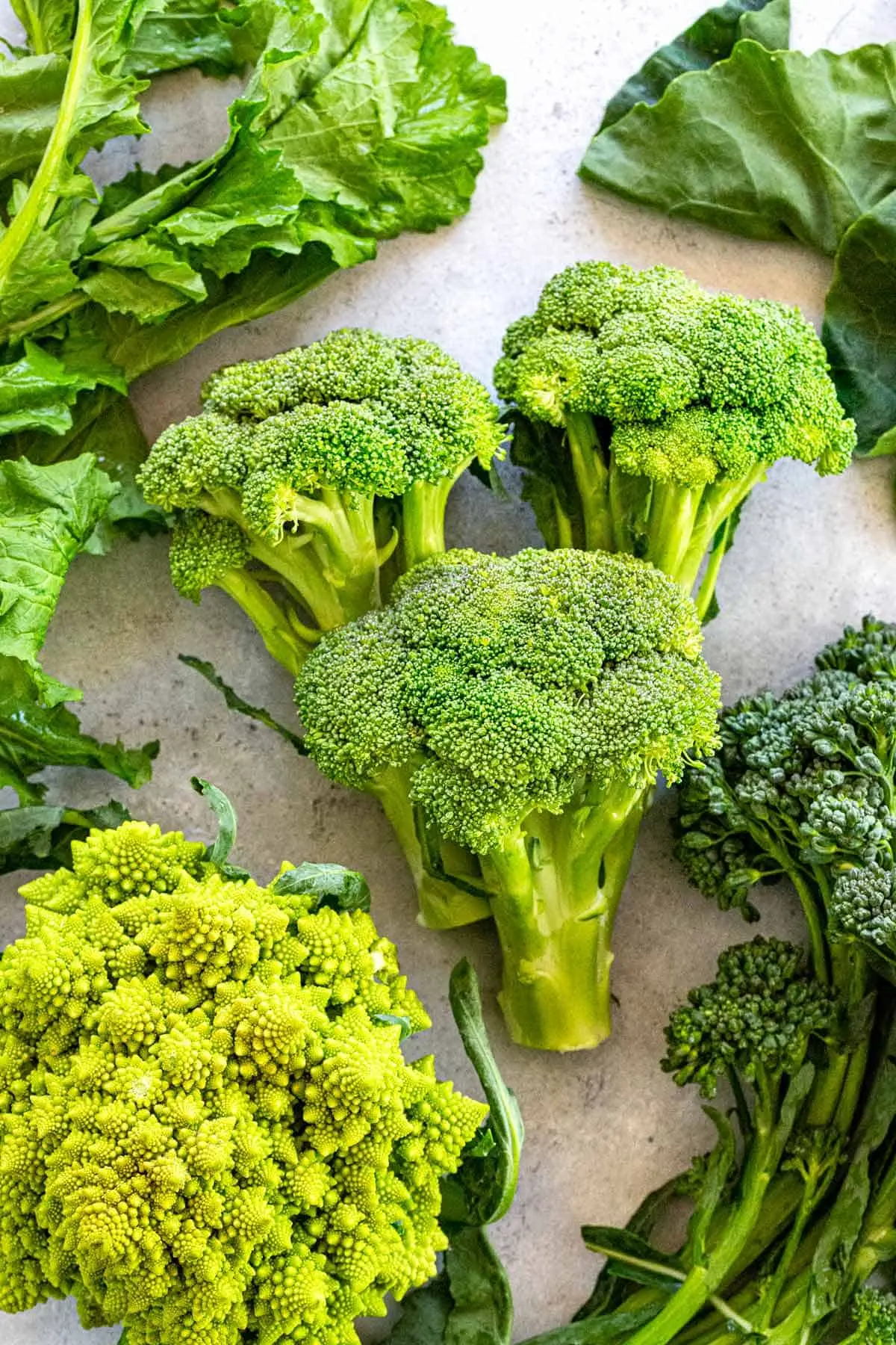 The best varieties of broccoli: photo with name, reviews