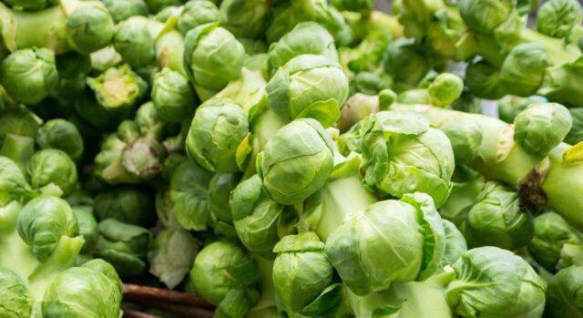 The best varieties of Brussels sprouts