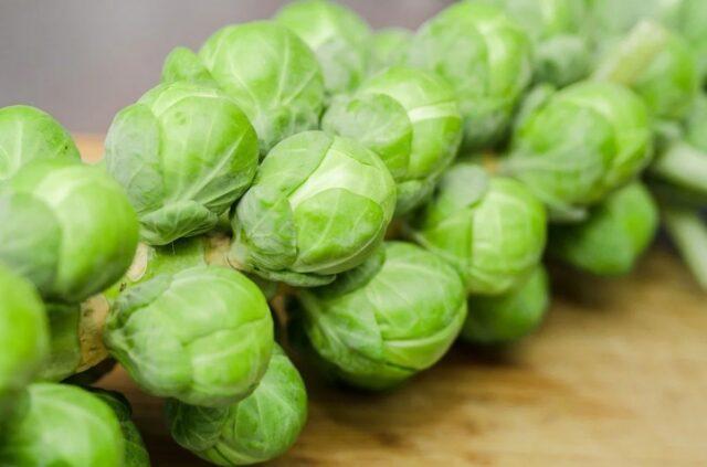 The best varieties of Brussels sprouts