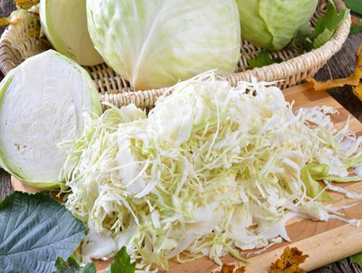 The best varieties of cabbage for sauerkraut, salting and storage