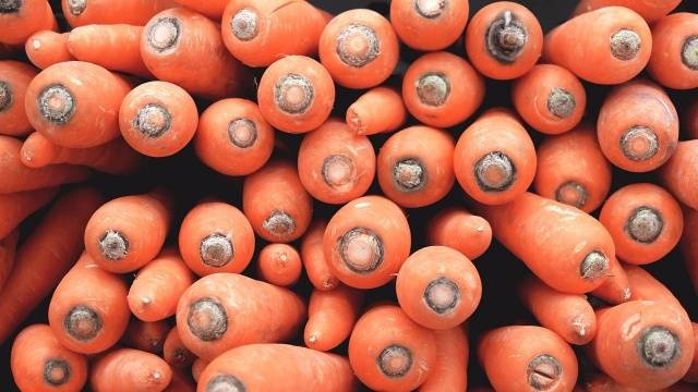 The best varieties of carrots: characteristics and zoning