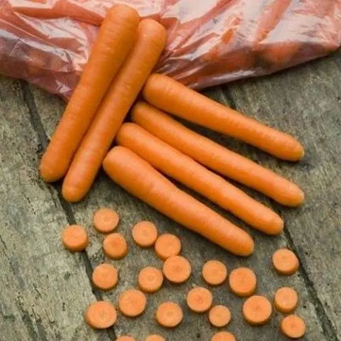 The best varieties of carrots for juice - description and photo