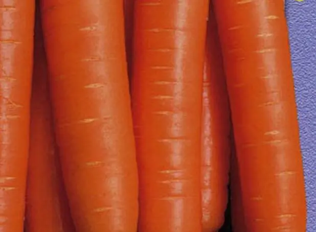 The best varieties of carrots for juice - description and photo