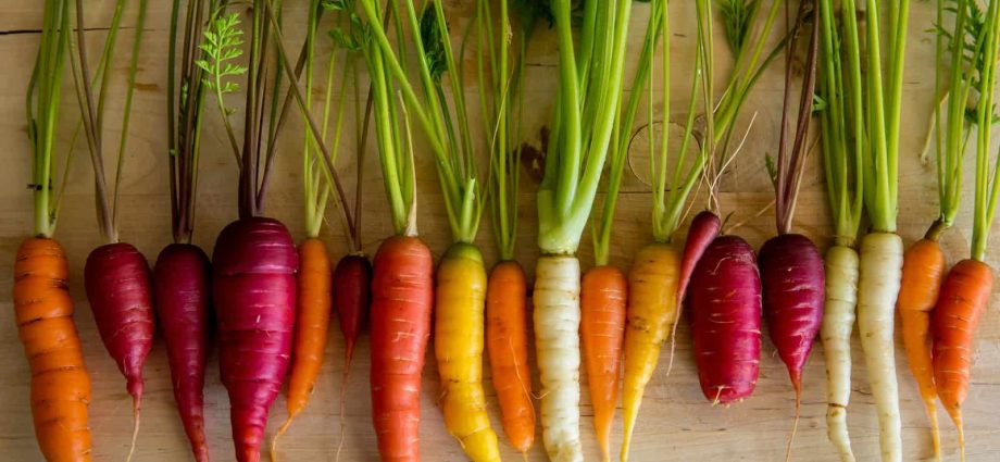 The best varieties of carrots for open ground