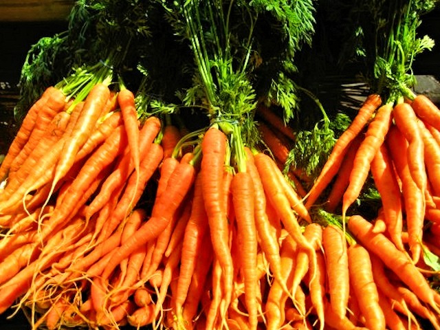 The best varieties of carrots for open ground: how to choose for planting