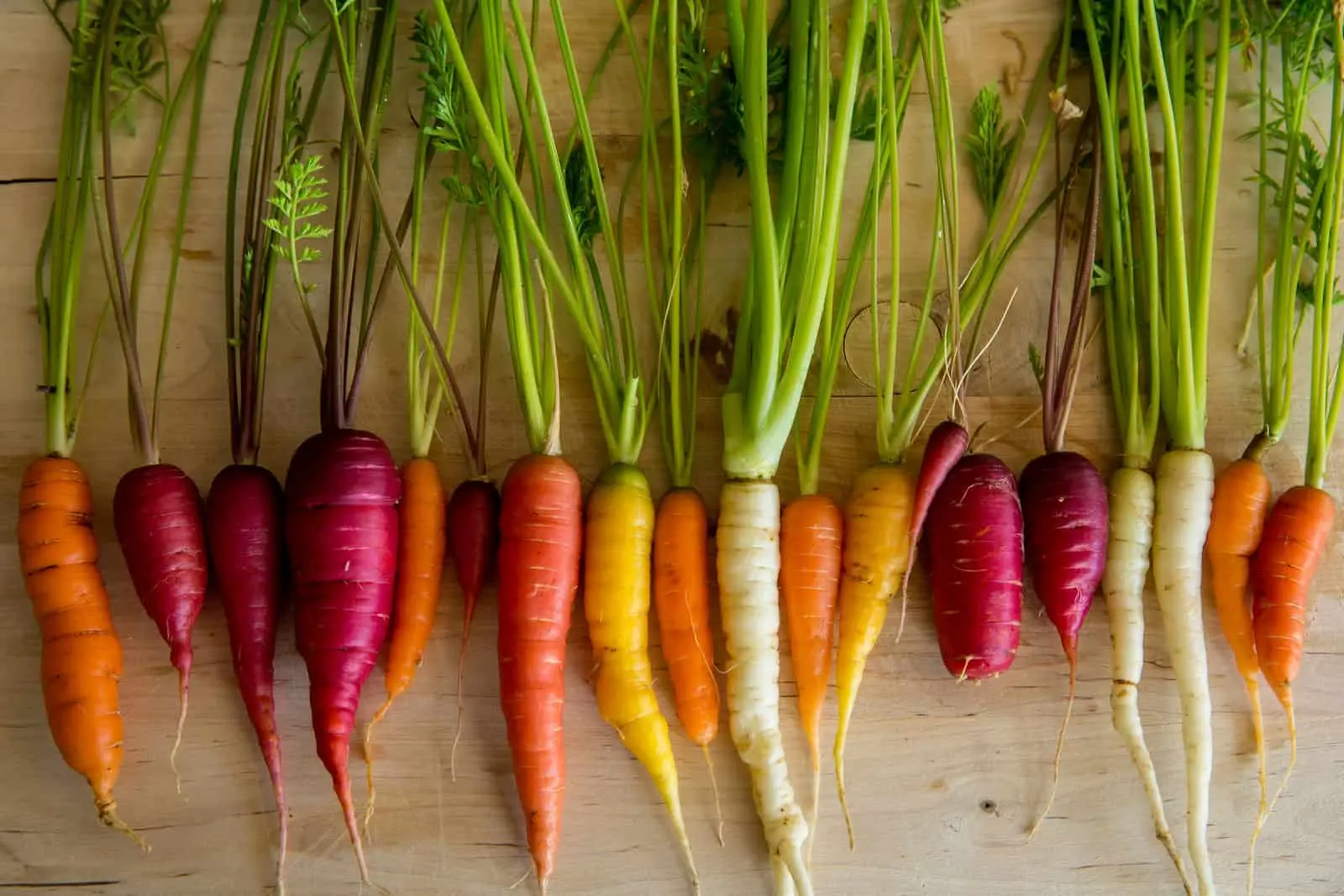 The best varieties of carrots for open ground