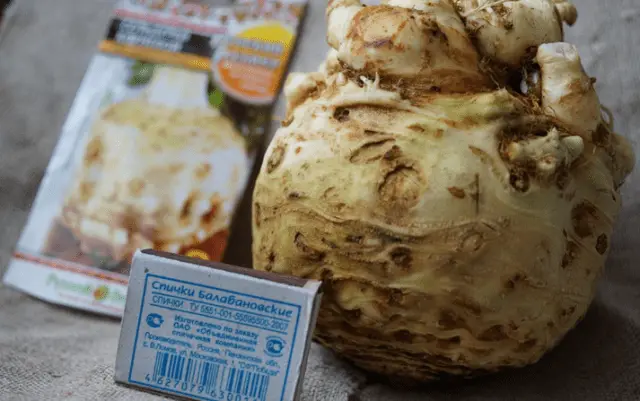 The best varieties of celery root