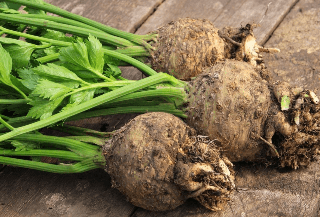 The best varieties of celery root