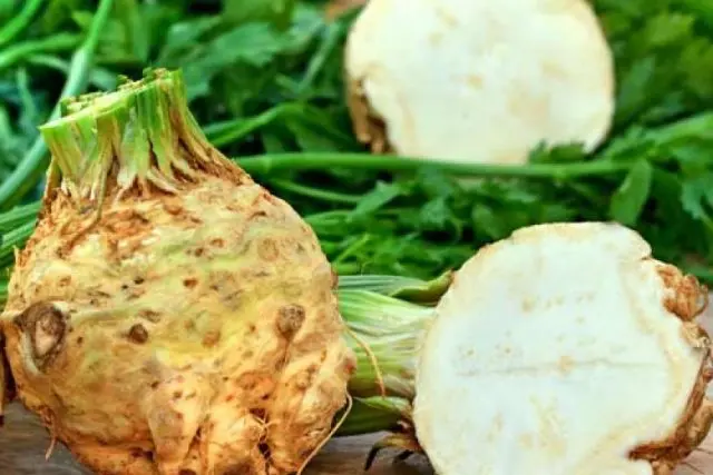 The best varieties of celery root