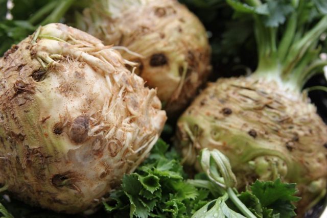 The best varieties of celery root